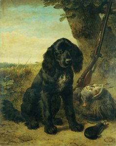 Un Retriever à Poil Plat près d