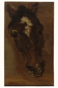 Tête de cheval - Henriëtte Ronner