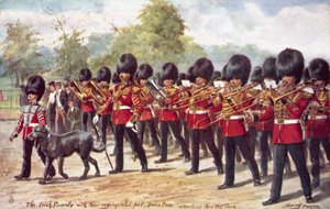 Les Irish Guards avec leur mascotte régimentaire défilant dans le parc - Henry A. Payne
