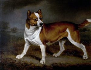 Ortie, 1812 - Henry Bernard Chalon