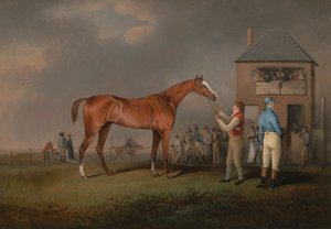 Quiz, après sa dernière course à Newmarket - Henry Bernard Chalon
