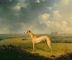 Le lévrier du révérend Henry Bate Dudley 