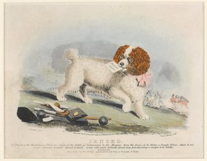 Sancho, Bataille de Salamanque, 1812