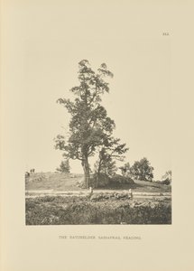 The Batchelder Sassafras, Reading - Henry Brooks