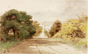 Harlow Hill
