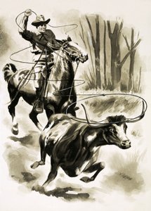 Un cow-boy attrape un bouvillon à cheval avec un lasso