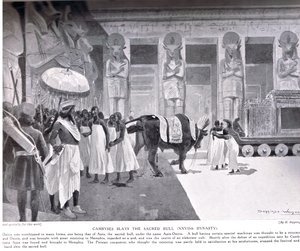 Cambyse tue le Taureau Sacré, illustration de 