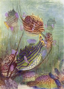 Le Poisson Coffre des mers de corail - Henry Charles Seppings Wright