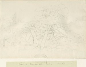 Parc de Beaudesert : dessin au crayon, nd [1788-1855]
