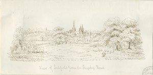 Lichfield - Vue nord (lointaine) - Henry Curzon Allport