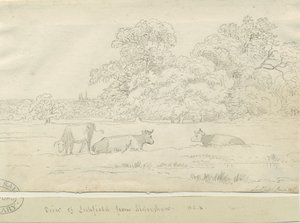 Lichfield - Vue depuis Aldershaw - Henry Curzon Allport