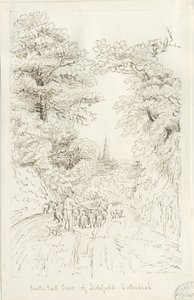 Cathédrale de Lichfield - Vue Sud-Est (lointaine)
