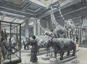 Vue intérieure du British Museum montrant la galerie contenant des expositions d