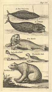 Plusieurs créatures, de 