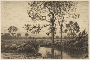 Automnes gris et mélancoliques