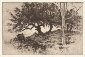 Près de la mer - Henry Farrer