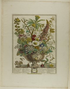 Décembre, des Douze Mois de Fleurs - Henry Fletcher