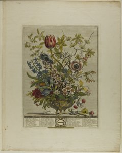 Février, des Douze Mois de Fleurs - Henry Fletcher