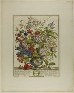 Juillet, des Douze Mois de Fleurs - Henry Fletcher