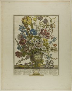 Mars, des Douze Mois de Fleurs