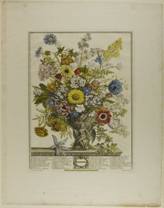 Novembre, de Douze mois de fleurs