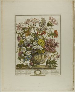 Octobre, des Douze Mois de Fleurs - Henry Fletcher