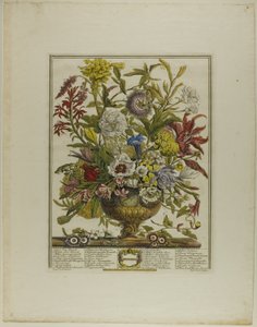Septembre, des Douze Mois de Fleurs - Henry Fletcher