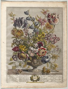 Douze mois de fleurs : Avril, 1730