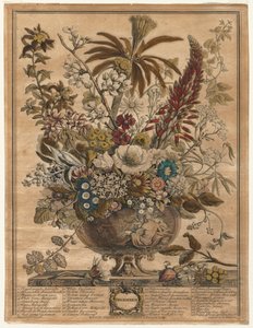Les douze mois de fleurs : décembre, 1730