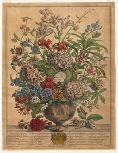 Les Douze Mois de Fleurs : Juillet, 1730