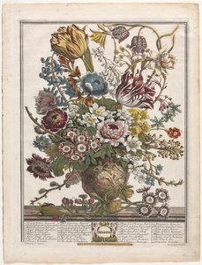 Douze mois de fleurs : Mars