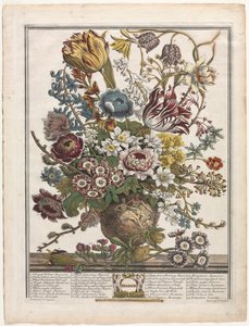 Douze Mois de Fleurs : Mars, 1730