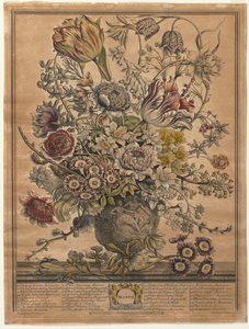 Les Douze Mois de Fleurs : Mars