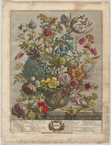 Les Douze Mois de Fleurs : Mai