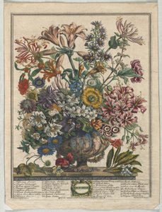 Douze mois de fleurs :  Octobre