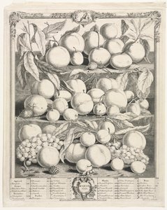 Douze mois de fruits : Août - Henry Fletcher