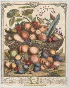 Douze mois de fruits : Juillet, 1732 - Henry Fletcher