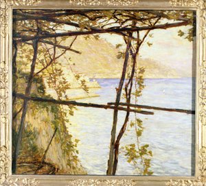 Vigne treillisée