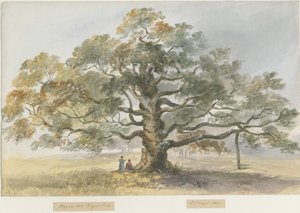 Blithfield - Chêne du mendiant - Henry James Noyes