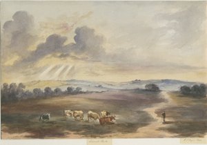 Cannock Chase - "Heath" : peinture à l