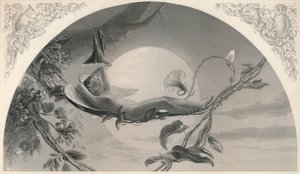Ariel La Tempête - Henry James Townsend