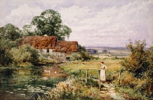 Regarder les canards - Henry John Sylvester Stannard