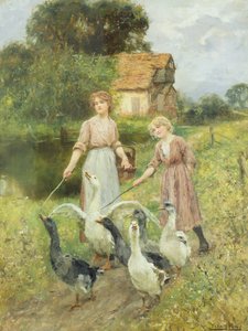 Filles gardant des oies