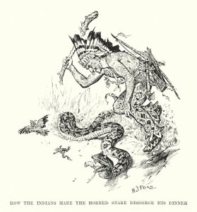 Comment les Indiens font régurgiter le serpent cornu - Henry Justice Ford