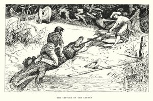 La capture du caïman - Henry Justice Ford