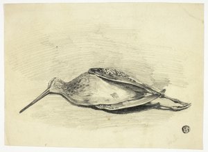 Tétras mort - Henry Lejeune