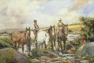 Chevaux s