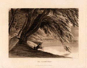 Les Étangs à poissons