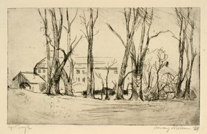 Bâtiment ressemblant à un hôpital vu entre de grands arbres - Henry Nielsen