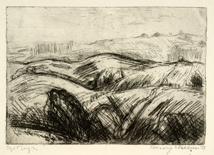 Paysage vallonné